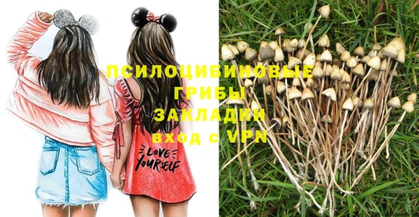 дживик Аркадак