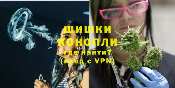 дживик Аркадак
