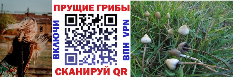 Галлюциногенные грибы GOLDEN TEACHER что такое наркотик Озёрск
