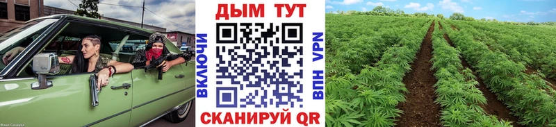 где купить наркотик KRAKEN Каннабис индика Озёрск